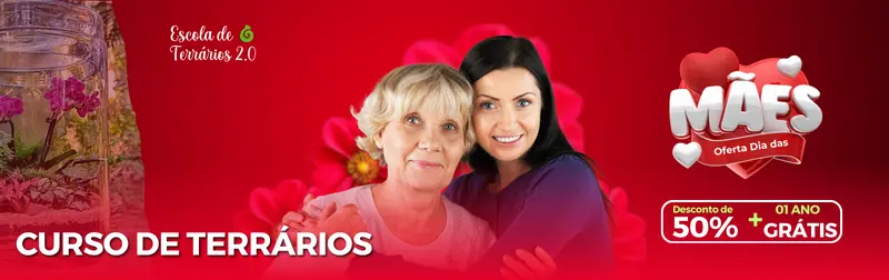 Banner curso de terrários promoção